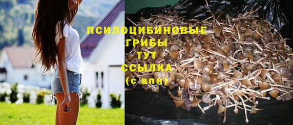 альфа пвп Липки