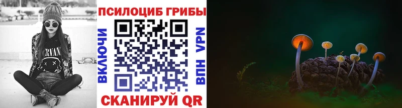 Псилоцибиновые грибы Cubensis  купить наркотики цена  Щучье 
